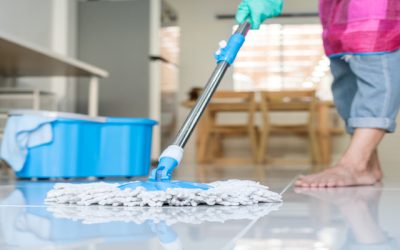 Best Day Housecleaning