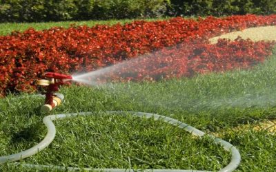 JMG Professional Lawn Sprinklers