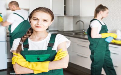 Amy’s Green Cleaning