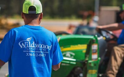 Wildwood Landscapes